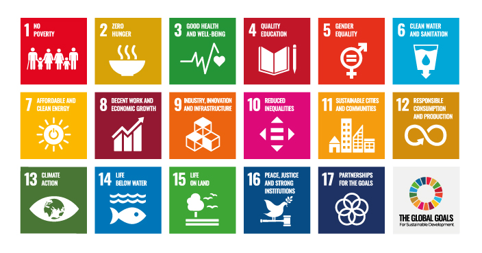 The Sustainable Development Goals (SDGS)