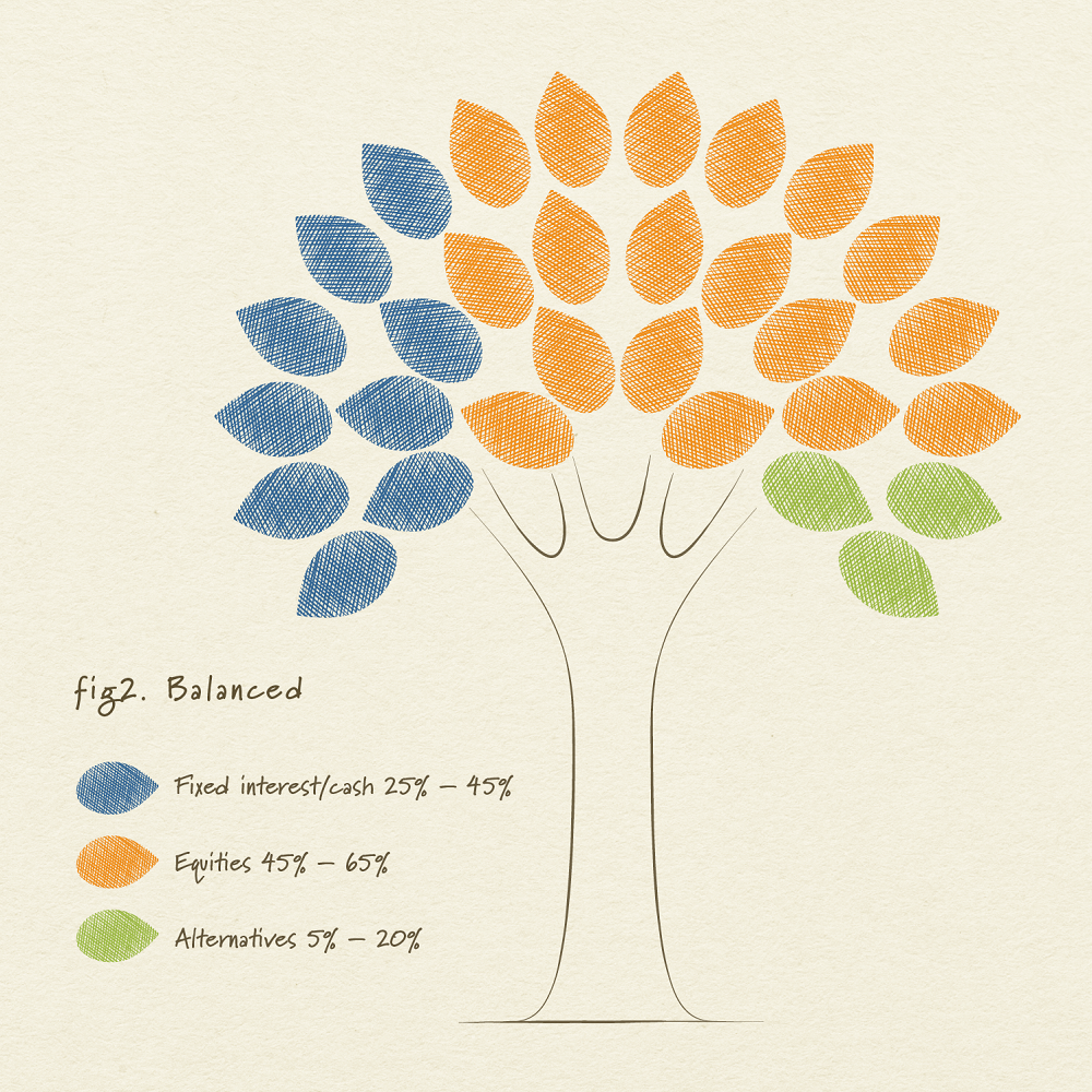 EdenTree Multi-Asset Balanced