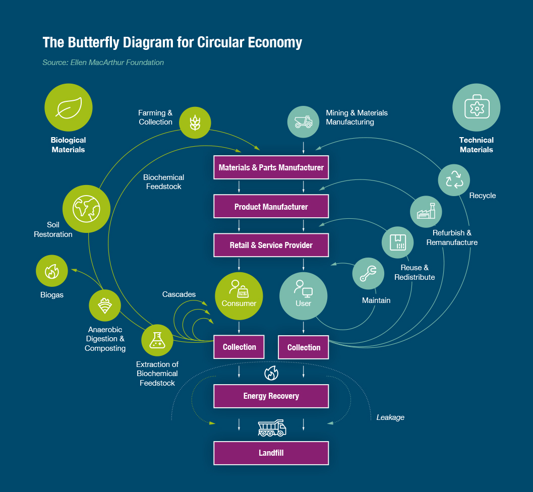 The-Butterfly-Diagram-for-Circular-Economy