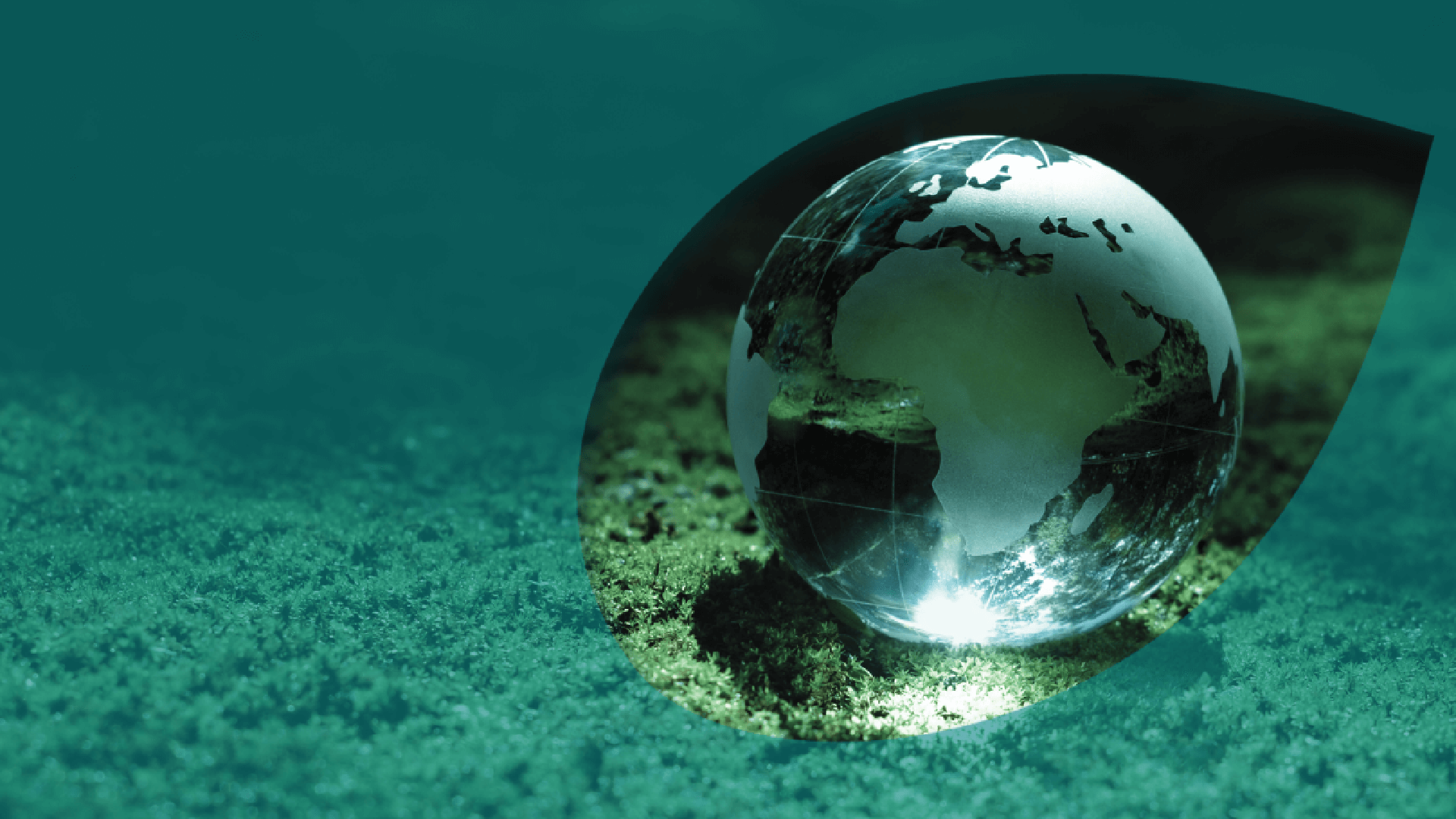 Global Equity Fund